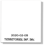 2020-02-09  TERRITORIAL INF. INV.