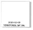 2020-02-09  TERRITORIAL INF. INV.